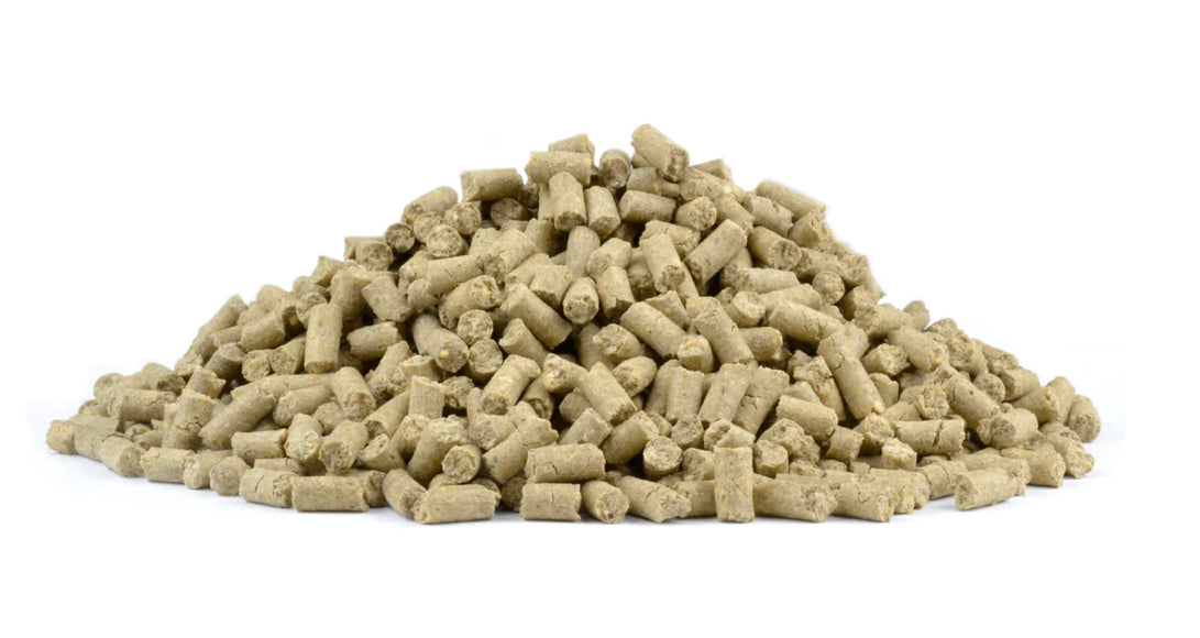 Fuzzy Fox Reptile Pellets 400g